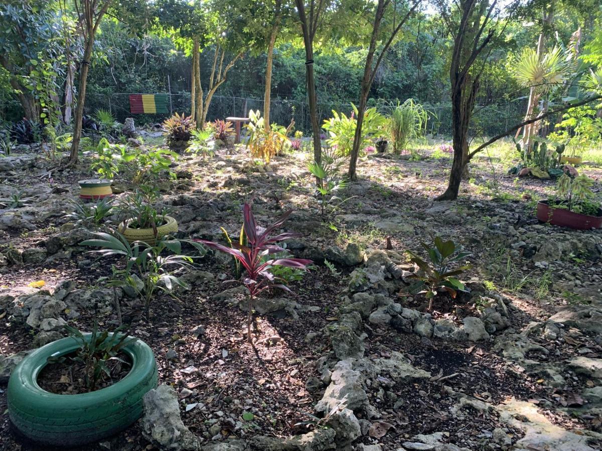 Can Jam Retreat Negril Zewnętrze zdjęcie